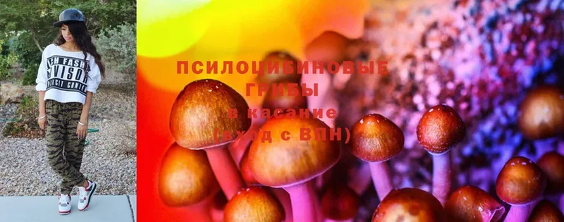 Галлюциногенные грибы Psilocybe  Нижний Тагил 